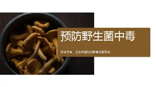安全主题班会课件 预防野生菌中毒新