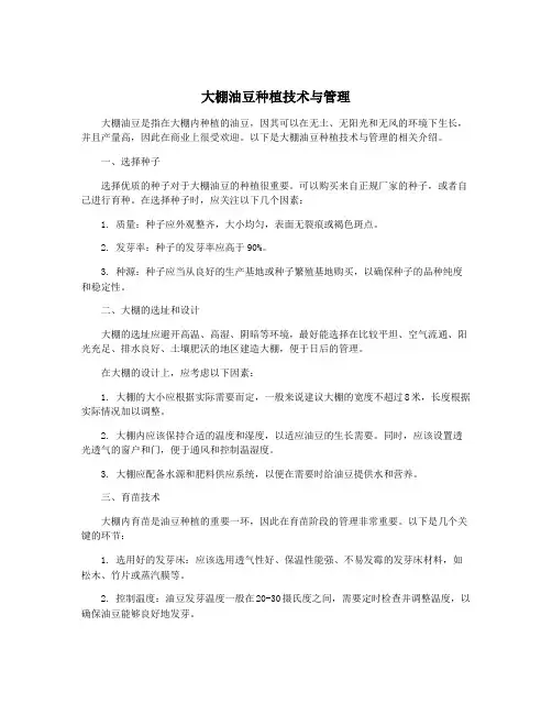 大棚油豆种植技术与管理