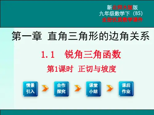 北师大版九年级数学下全册优质教学课件