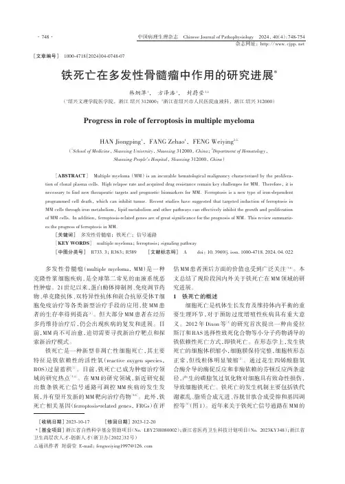 铁死亡在多发性骨髓瘤中作用的研究进展