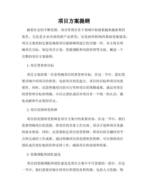 项目方案提纲