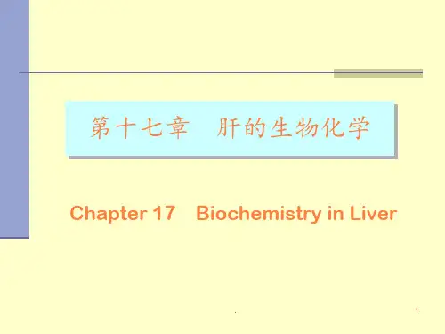 肝的生物化学ppt课件