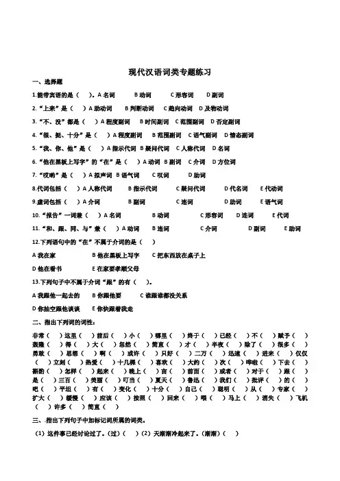 现代汉语词性及专题训练、答案