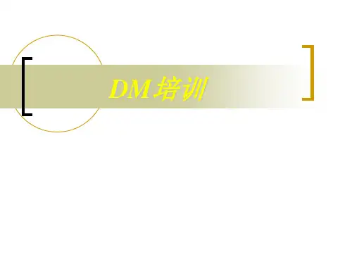 DM培训资料