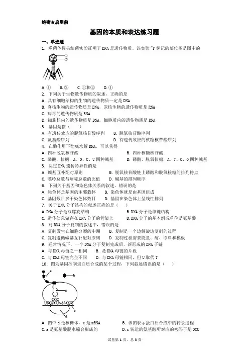 基因的本质和表达
