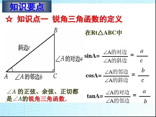解直角三角形习题训练