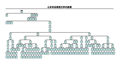 02NNN山东单县裴范庄李氏族谱图示A3版面