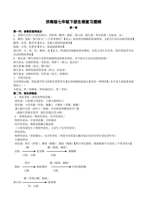七年级下册生物复习提纲