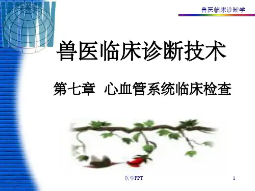《篇临床检查》PPT课件