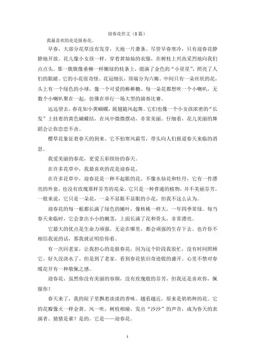 迎春花作文(8篇)