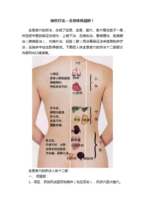 绿色疗法—全息体质刮痧！