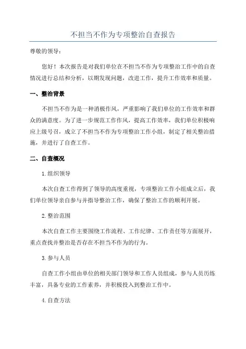 不担当不作为专项整治自查报告