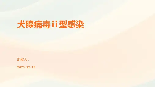 犬腺病毒ⅱ型感染