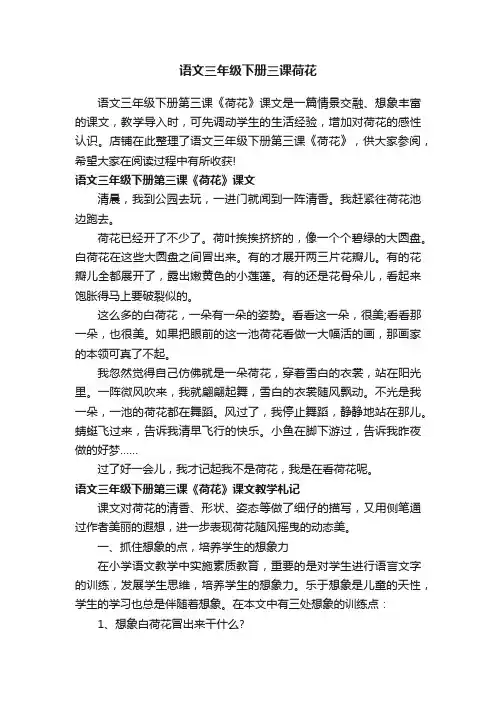 语文三年级下册三课荷花