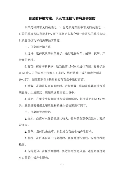白菜的种植方法,以及管理技巧和病虫害预防