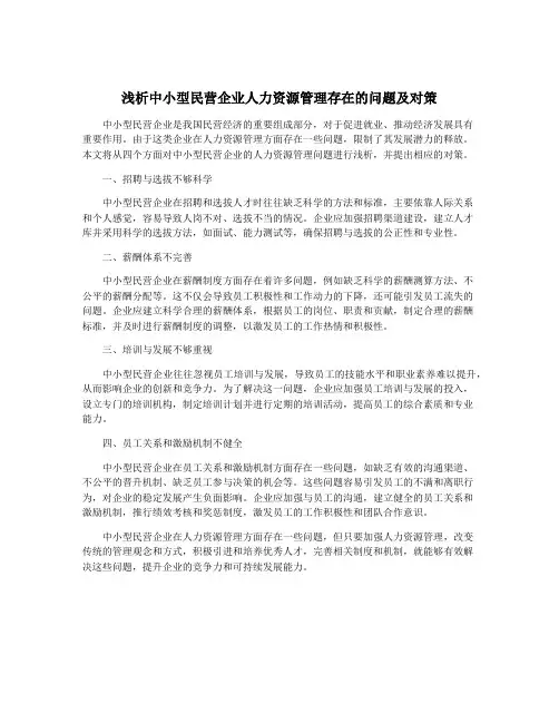 浅析中小型民营企业人力资源管理存在的问题及对策