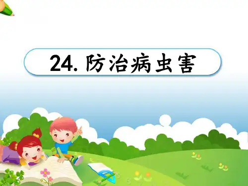 《防治病虫害》农田 PPT实用课件2
