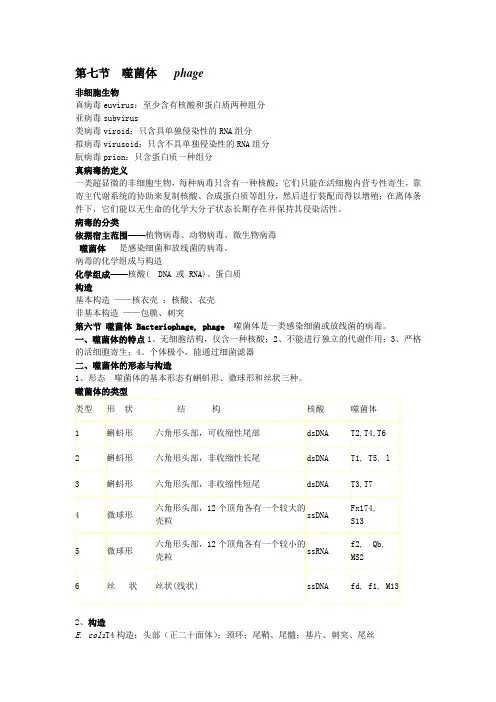 噬菌体