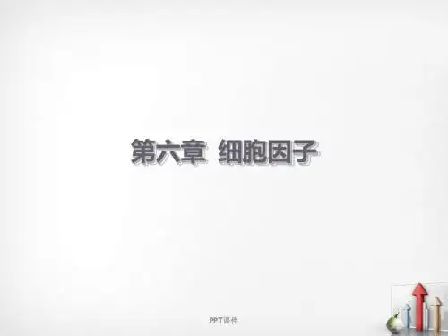 细胞因子   ppt课件