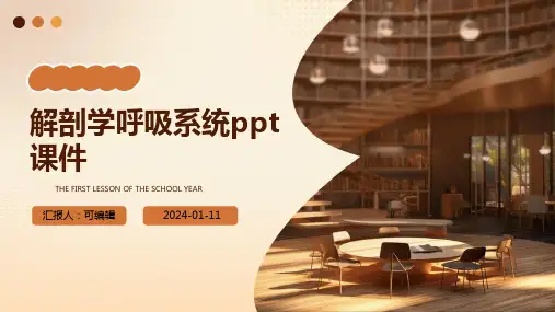 解剖学呼吸系统ppt课件