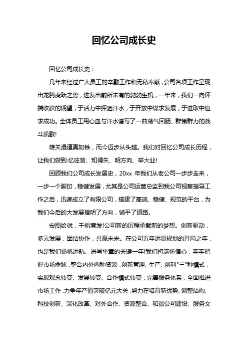 回忆公司成长史