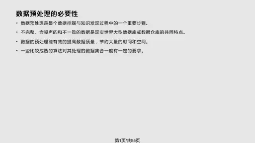 数据预处理方法与改进的建议PPT课件