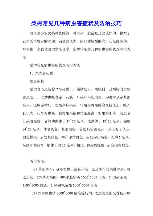 梨树常见几种病虫害症状及防治技巧