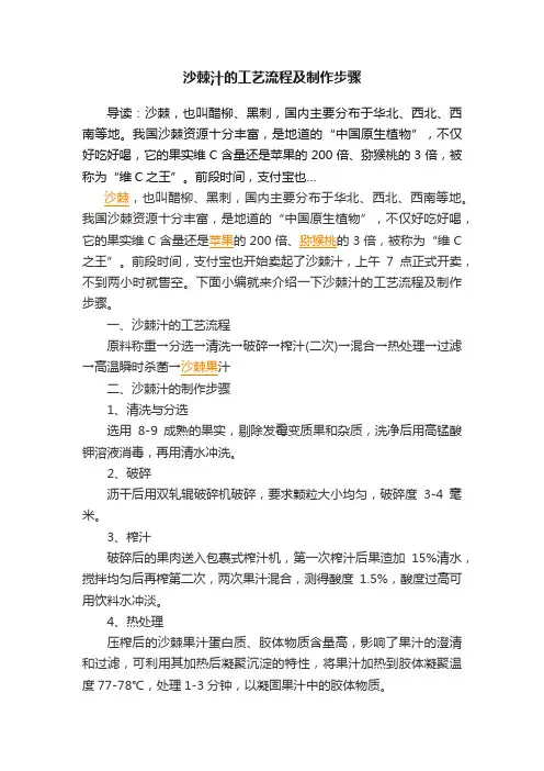 沙棘汁的工艺流程及制作步骤