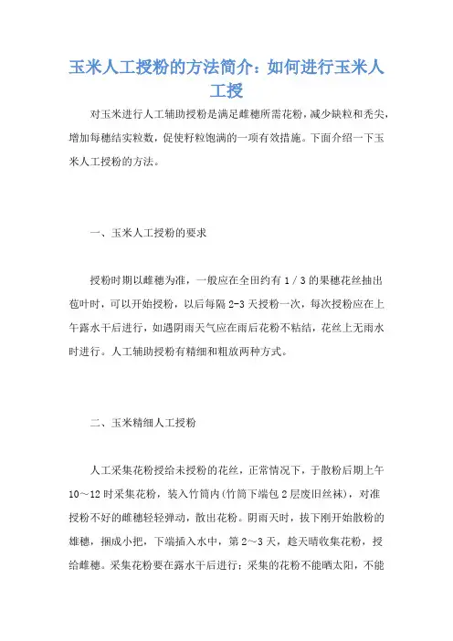 玉米人工授粉的方法简介：如何进行玉米人工授