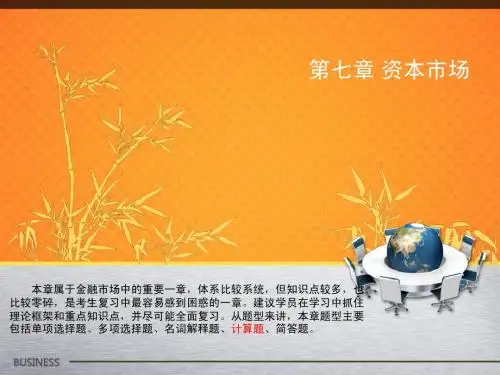 第七章 资本市场