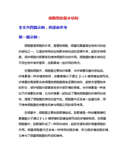 细胞壁的基本结构