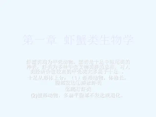 《虾+蟹类_生物学》_课件