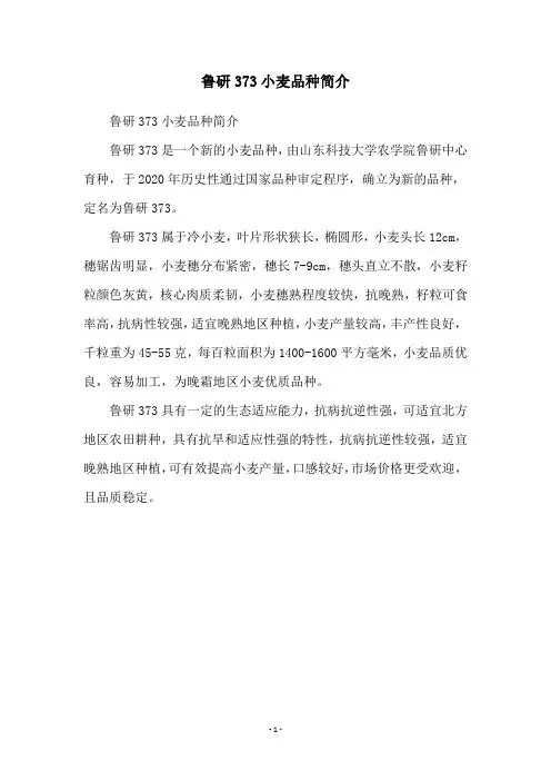 鲁研373小麦品种简介
