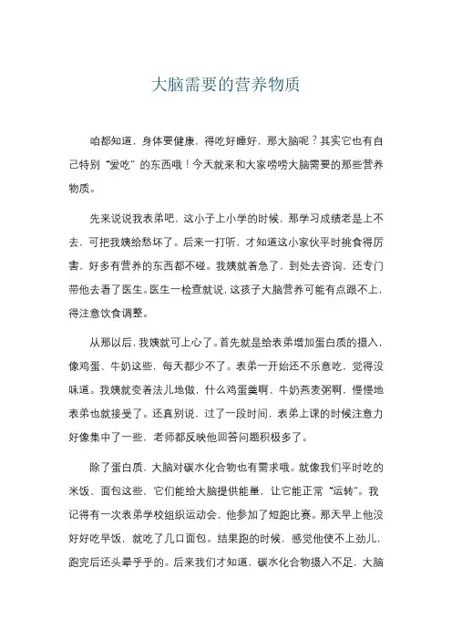 大脑需要的营养物质
