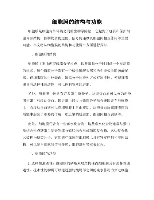 细胞膜的结构与功能