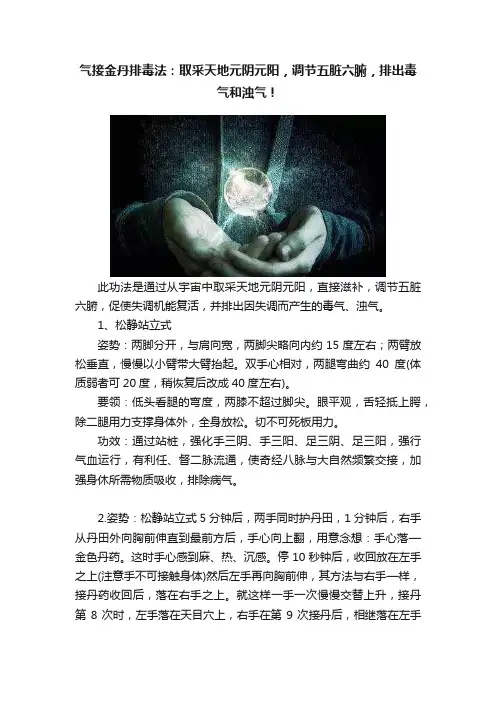 气接金丹排毒法：取采天地元阴元阳，调节五脏六腑，排出毒气和浊气！