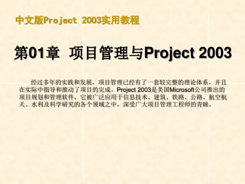 中文版Project2003适用教程(甘特图制作)(很有价值)