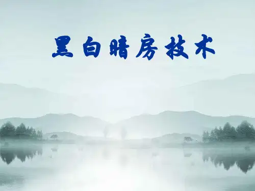 摄影基础教学课件：黑白照片的制作