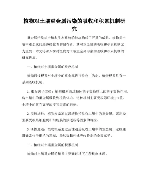 植物对土壤重金属污染的吸收和积累机制研究
