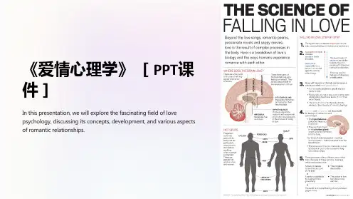 爱情心理学》[课件]