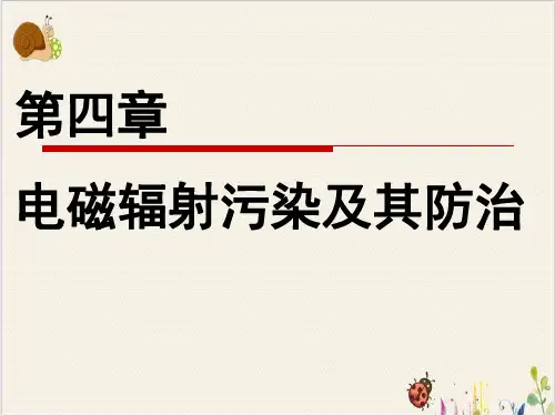 物理性污染控制电磁污染及其控制PPT.