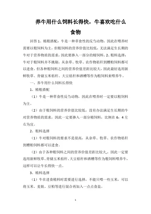 养牛用什么饲料长得快,牛喜欢吃什么食物