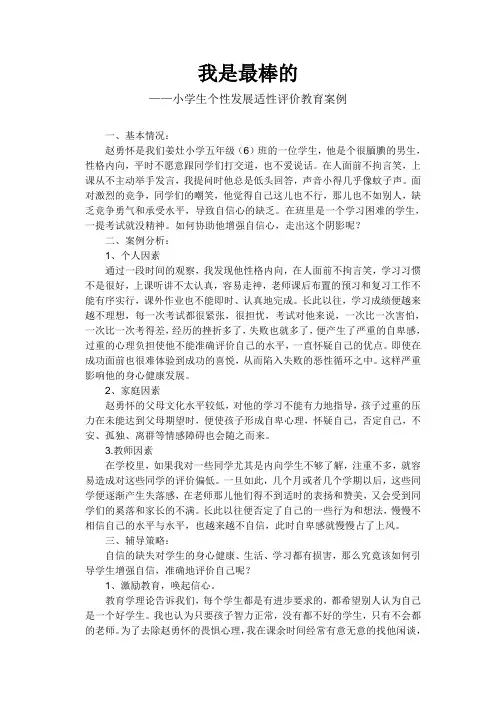 小学生个性发展适性评价教育案例