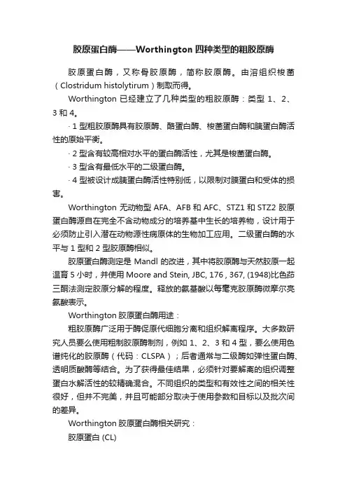 胶原蛋白酶——Worthington四种类型的粗胶原酶