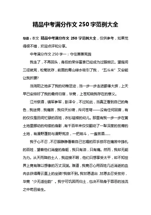 精品中考满分作文250字范例大全