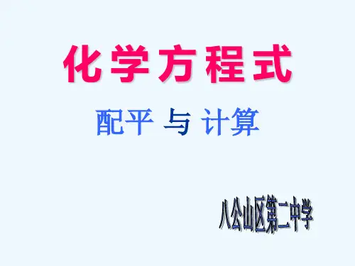 化学方程式配平与计算