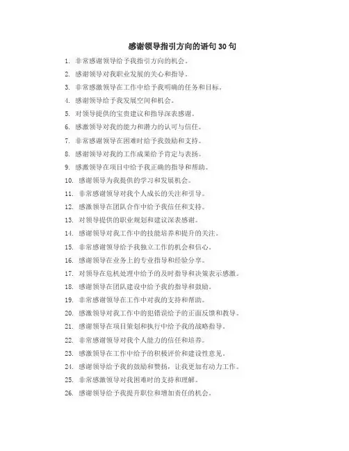 感谢领导指引方向的语句