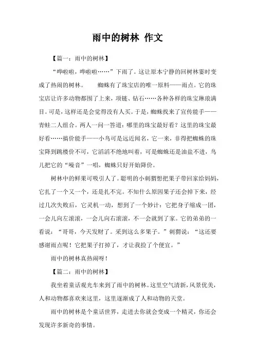 雨中的树林 作文