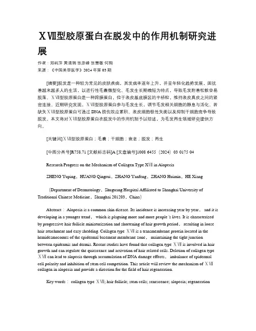 ⅩⅦ型胶原蛋白在脱发中的作用机制研究进展