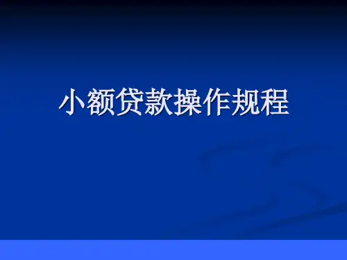 小额贷款操作规程ppt课件
